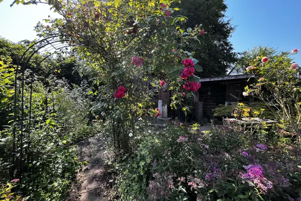 Gartenimpressionen