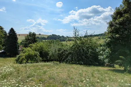 Aussicht-Streuobstwiese