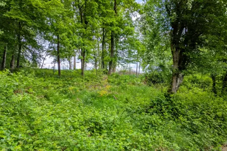 Ansicht-SW-Titel