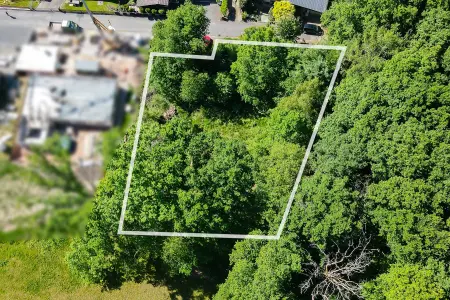 Ansicht-N der Immobilie: Besser geht´s nicht! Toller Bauplatz in Sackgasse am Waldrand, Süd-Ausrichtung, ruhig, Natur pur! (Foto)