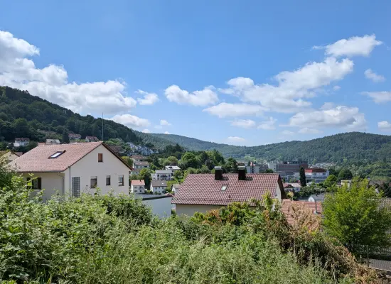 Ansicht-S