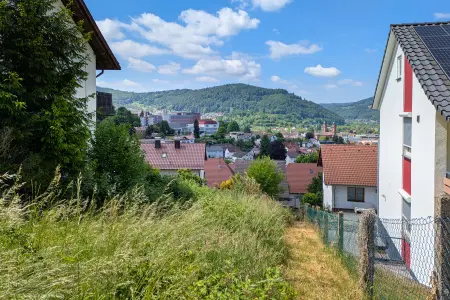 Ansicht-SW-Titel der Immobilie: Außergewöhnliches Grundstück für ein außergewöhnliches Haus mit tollem Blick in Eberbach! (Titelbild)