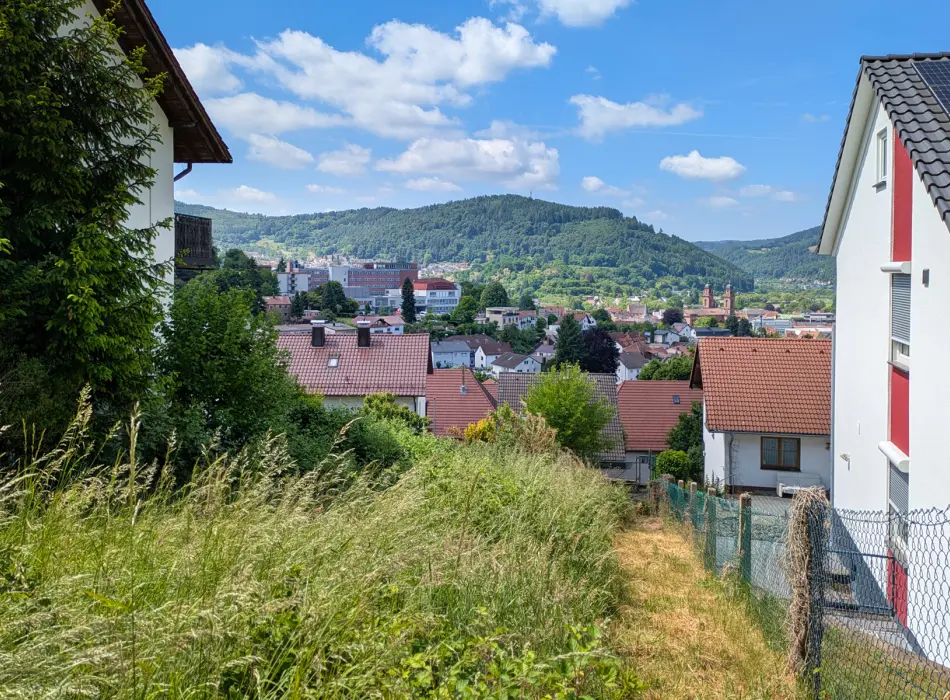 Ansicht-SW-Titel