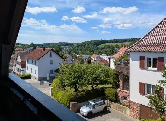 Aussicht-SW der Immobilie: 1 Haus 2 Wohnungen? Eigentlich beides! Viel Platz & viele Möglichkeiten in zentraler Lage von Erbach (Foto)
