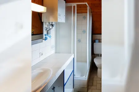 Hinterhaus-Duschbad der Immobilie: Liebhaberobjekt in ruhiger, sonniger Lage von Erbach Erlenbach! (Foto)