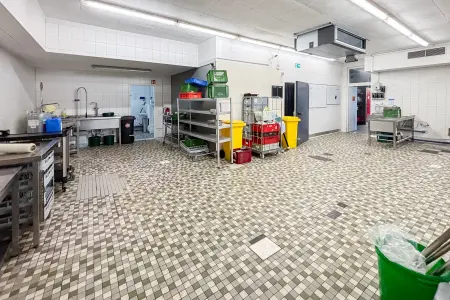 Großküche der Immobilie: Produktionshalle mit vielseitigen Nutzungsmöglichkeiten in zentraler Lage von Klein-Umstadt (Foto)