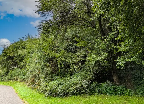 Ansicht_Straße_N