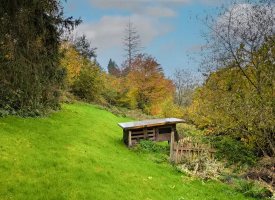 Ansicht Garten der Immobilie: Selbermacher aufgepasst: Haus mit großem, naturnahen Grundstück und vielen Nutzungs-Möglichkeiten! (Foto)