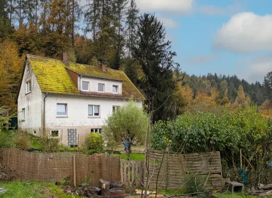 Ansicht NO der Immobilie: Selbermacher aufgepasst: Haus mit großem, naturnahen Grundstück und vielen Nutzungs-Möglichkeiten! (Foto)
