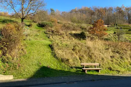 der Immobilie: Grundstück für Bauherren mit viel Platzbedarf in Flörsbach! (Titelbild)