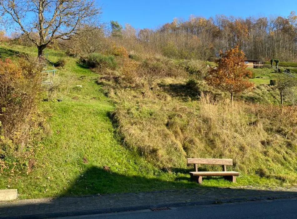 der Immobilie: Grundstück für Bauherren mit viel Platzbedarf in Flörsbach! (Titelbild)