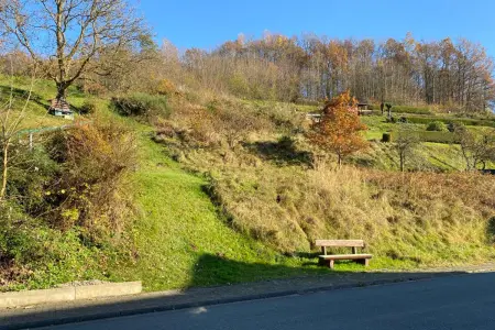 der Immobilie: Grundstück für Bauherren mit viel Platzbedarf in Flörsbach! (Foto)