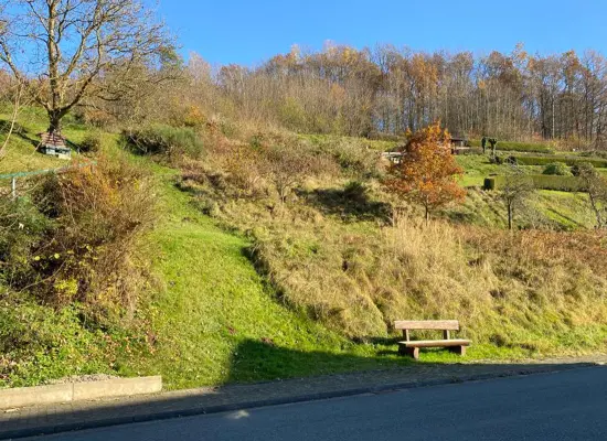 der Immobilie: Grundstück für Bauherren mit viel Platzbedarf in Flörsbach! (Foto)