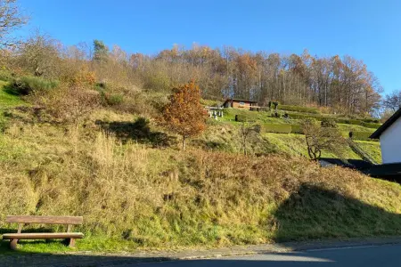 der Immobilie: Grundstück für Bauherren mit viel Platzbedarf in Flörsbach! (Foto)