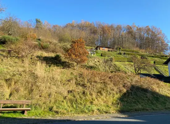 der Immobilie: Grundstück für Bauherren mit viel Platzbedarf in Flörsbach! (Foto)